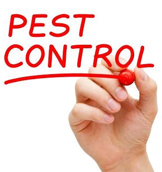 Do-It-Yourself Pest Control Tips